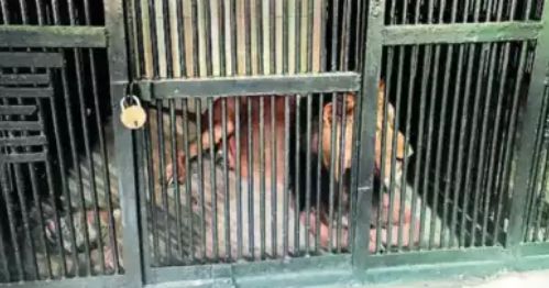 亡“只为拍一张精彩的照片”！爱游戏爱体育新西兰游客坠落身(图5)