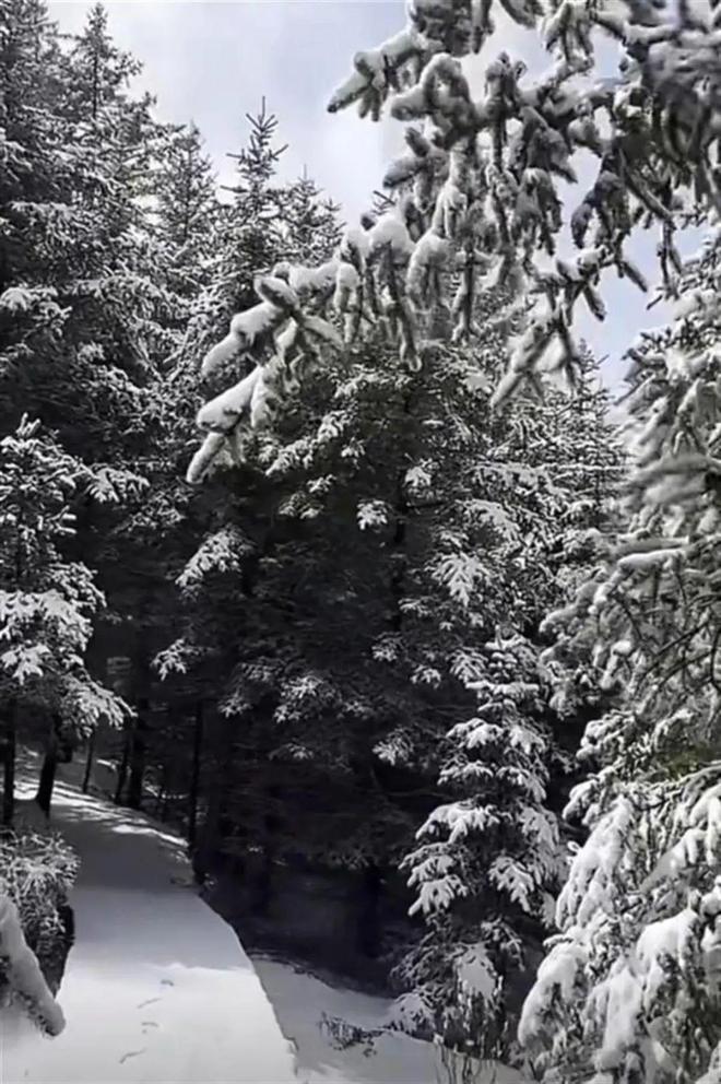 厘米厚的大雪！中雨！山西最新消息！爱游戏app手机版山西一地下了10(图2)